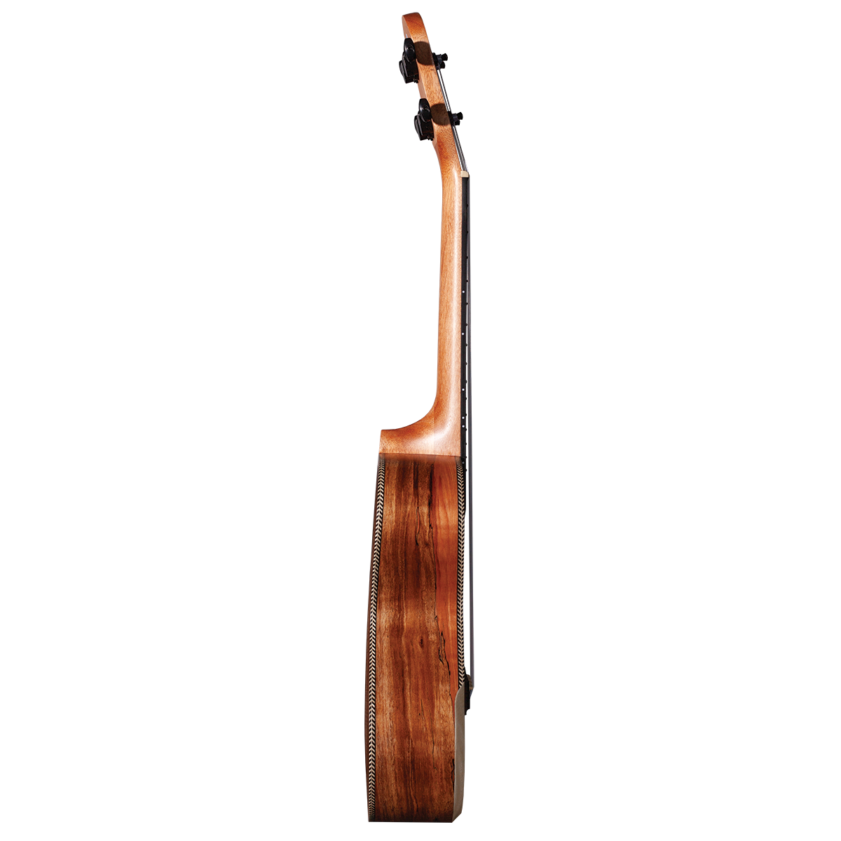 Barnes & Mullins BMUK9C Concert Spalt Maple Ukulele