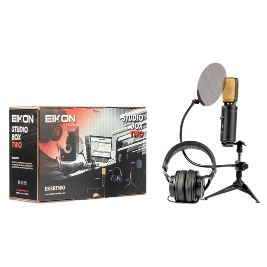 Eikon EKSBTWO Advanced home recording bundle
