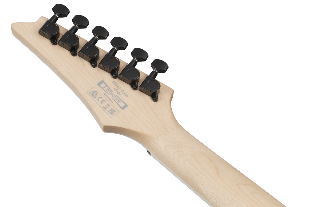 Ibanez RG421DX Electric Guitar | Twilight Shade | RG421DXTWS