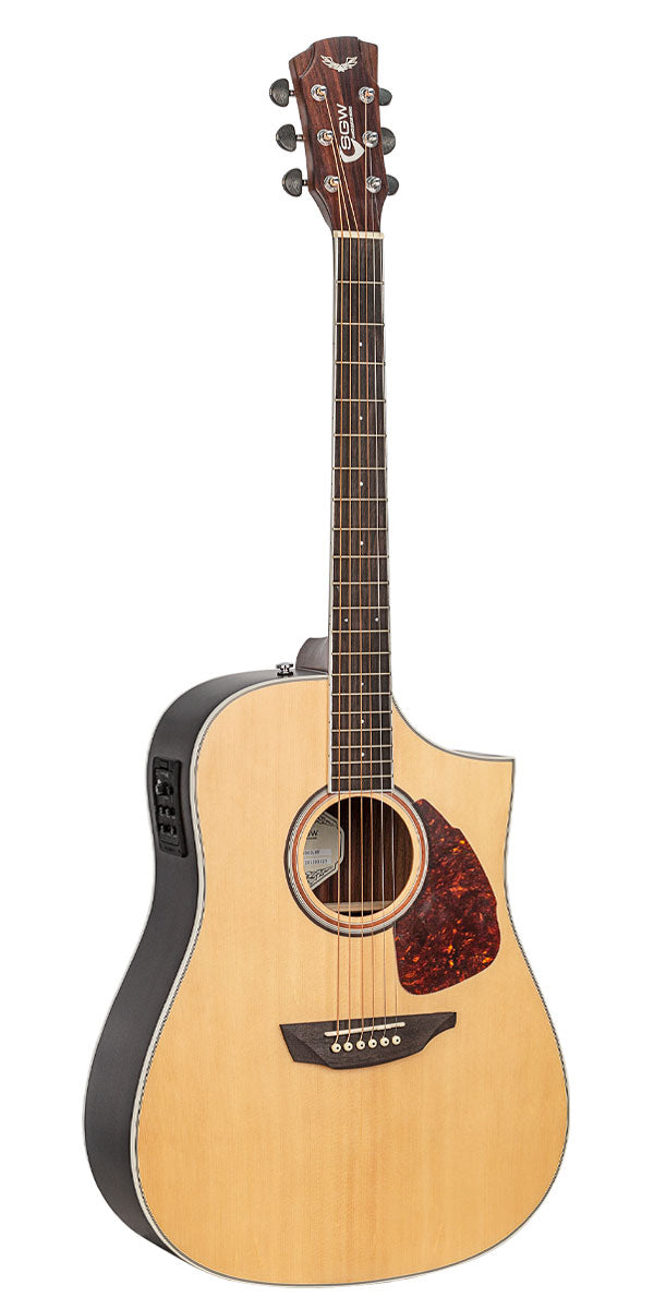 SGW DREADNOUGHT ELEC/ACOUSTIC
