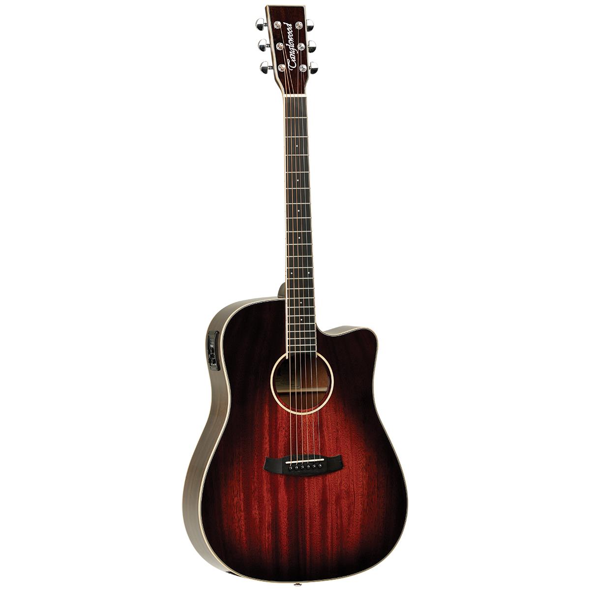 Tanglewood TW5AVB Winterleaf - Superseded by TWPRO5-CE-AVB