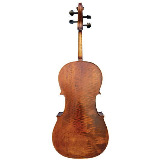 Vivo Elite Cello 4/4 Outfit