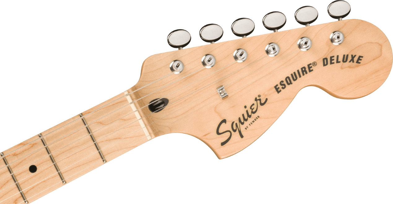 Paranormal Esquire Deluxe Maple Fingerboard Black Pickguard Mocha