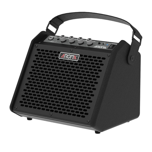 Aroma AMA30D 30W Universal Instrument Amp