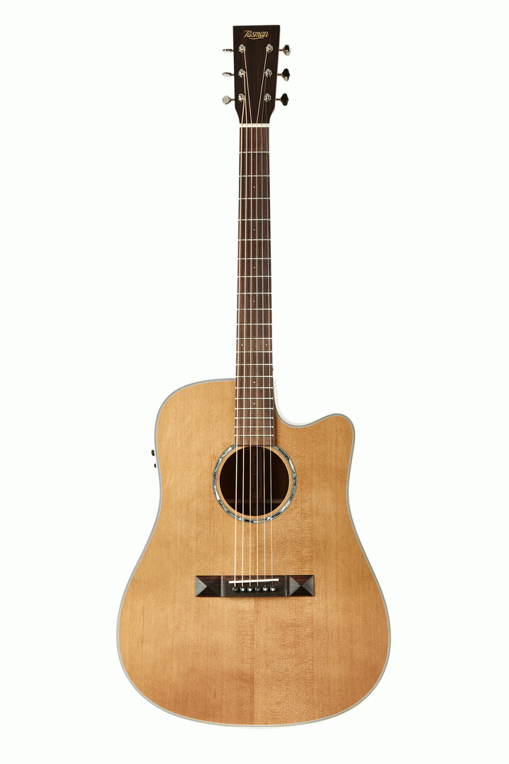 TASMAN TA100-CE CUTAWAY ACOUSTIC ELECTRIC W/CASE