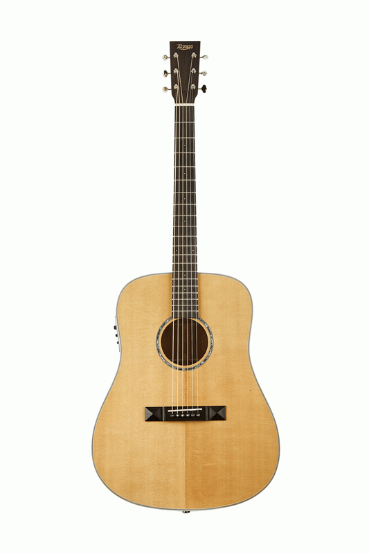 TASMAN TA300-E ACOUSTIC ELECTRIC W/CASE