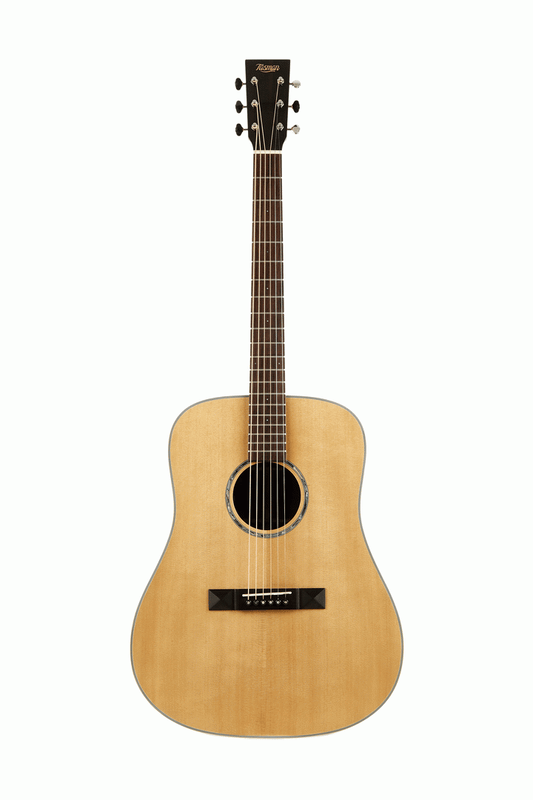 TASMAN TA200-E CUTAWAY ACOUSTIC ELECTRIC W/CASE