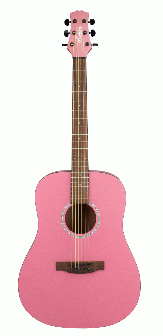 ASHTON SPD30 GUV ACOUSTIC GUITAR W/GIG BAG