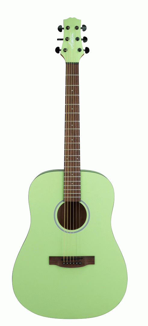 ASHTON SPD30 KWI ACOUSTIC GUITAR W/GIG BAG