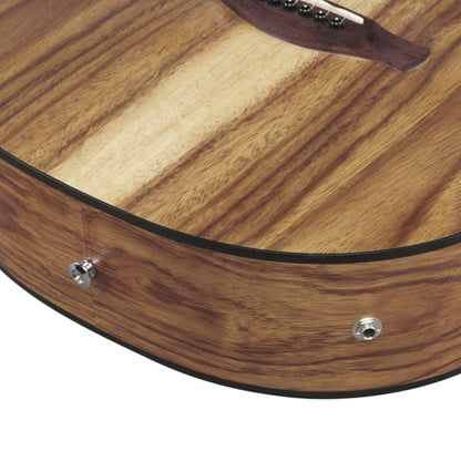 Ibanez VC40WSCE Acoustic Guitar | Open Pore Brown