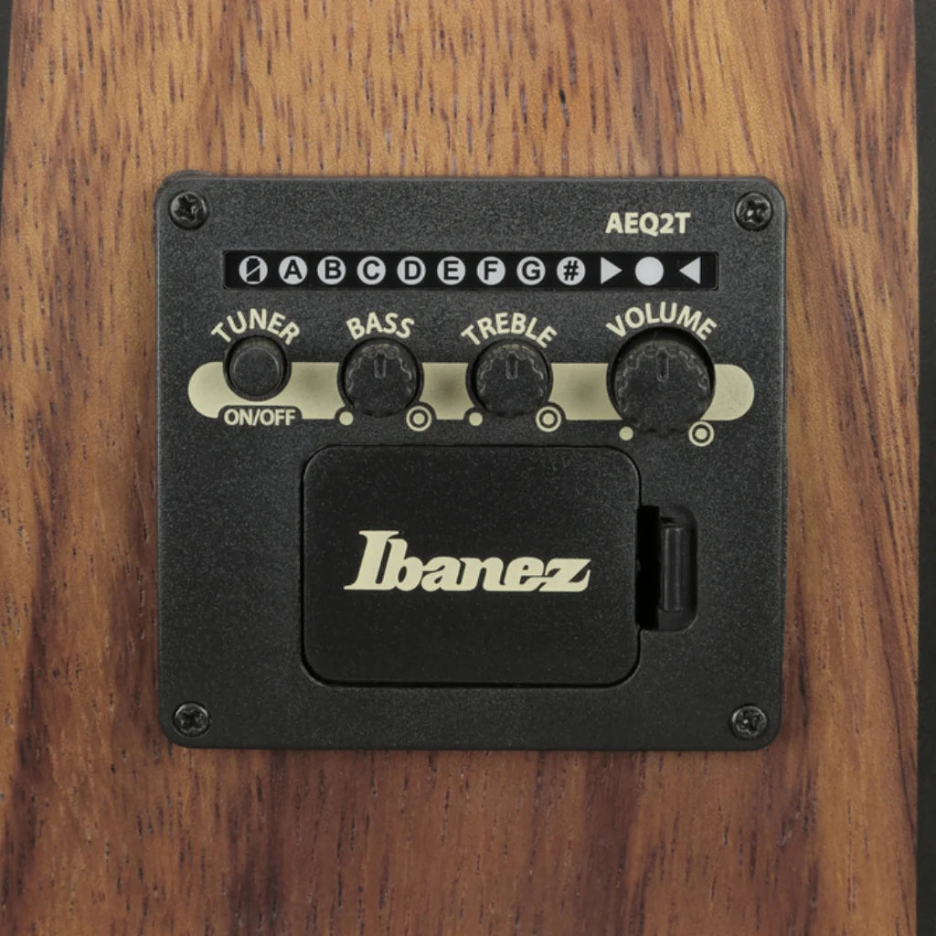 Ibanez VC40WSCE Acoustic Guitar | Open Pore Brown