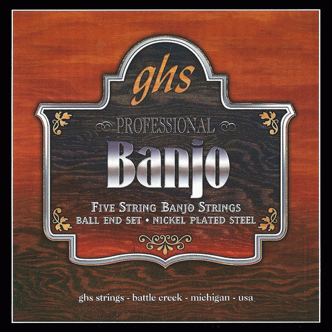 BANJO 5 STR SET 09/20 SS LOOP END REG/LT