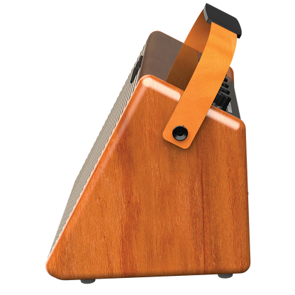 Aroma AG-26A 25W Acoustic Guitar Rechargeable Amplifier