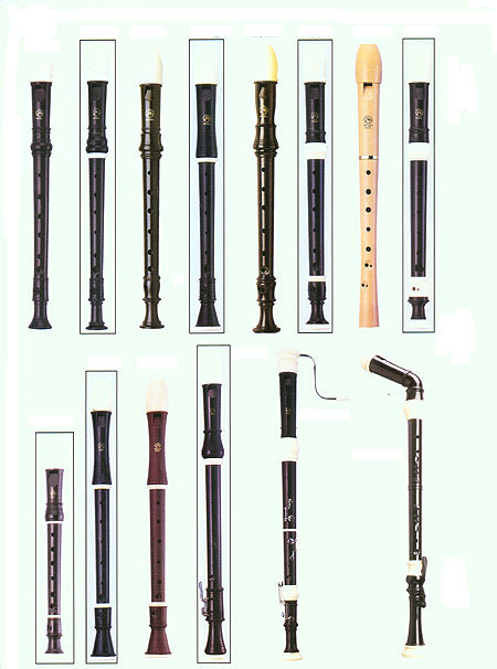 SOPRANO RECORDER 2 PCE C PLASTIC DARK BROWN W/BG