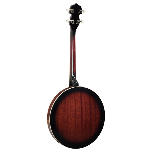 Barnes & Mullins BJ304GT 'Perfect' 4-String Gaelic Tenor Banjo