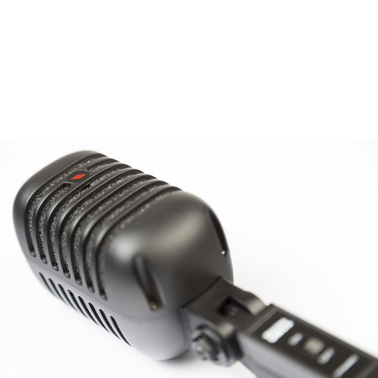 Eikon DM55V2BK “Vintage” Professional Vocal Dynamic Microphone Satin Black