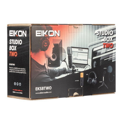 Eikon EKSBTWO Advanced home recording bundle