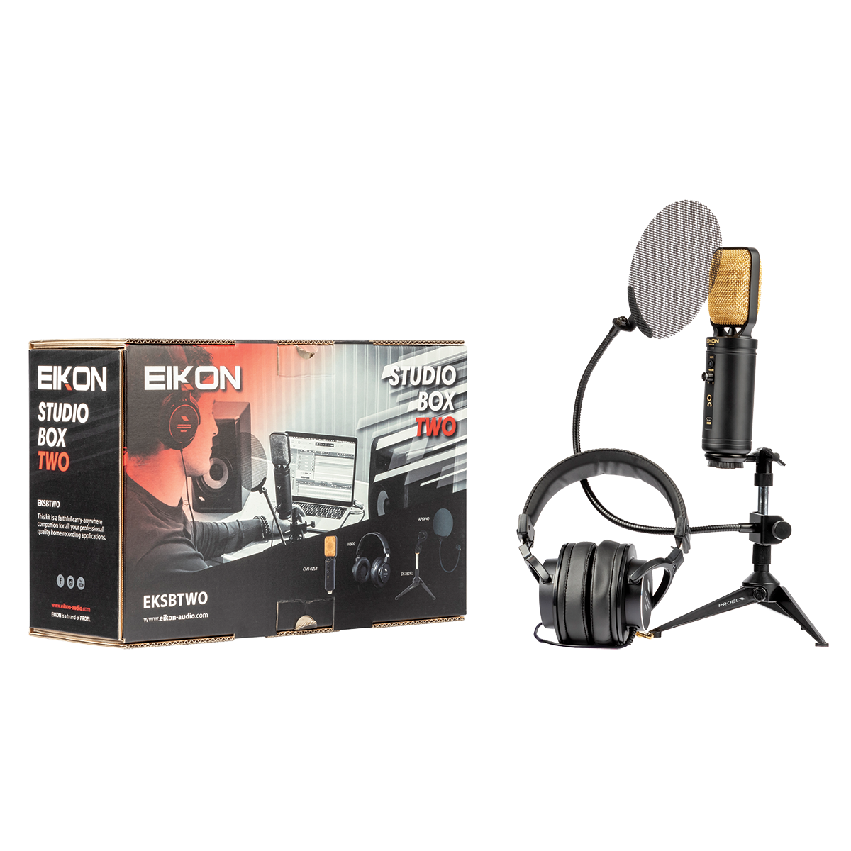 Eikon EKSBTWO Advanced home recording bundle