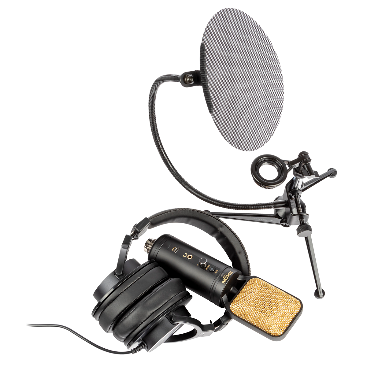 Eikon EKSBTWO Advanced home recording bundle