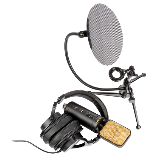 Eikon EKSBTWO Advanced home recording bundle