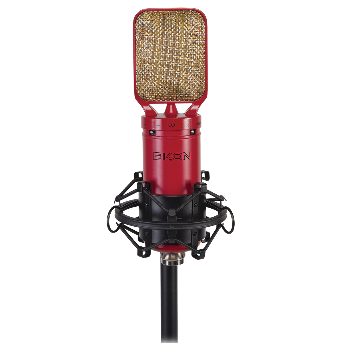 Eikon RM8 Ribbon Microphone with mount & case