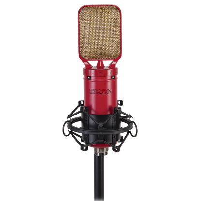 Eikon RM8 Ribbon Microphone with mount & case