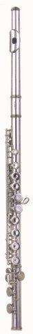 FLUTE W/CASE
