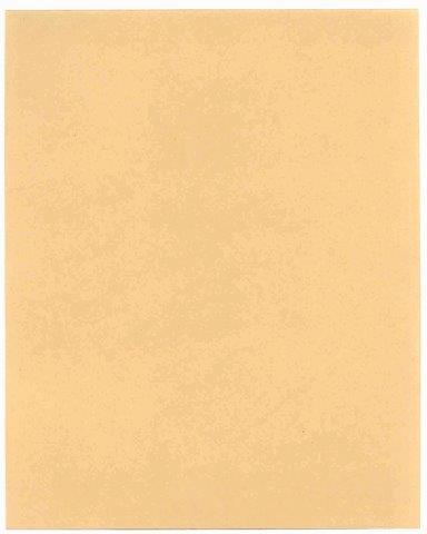 SCRATCHPLATE FLAMENCO BLANK WAS F1