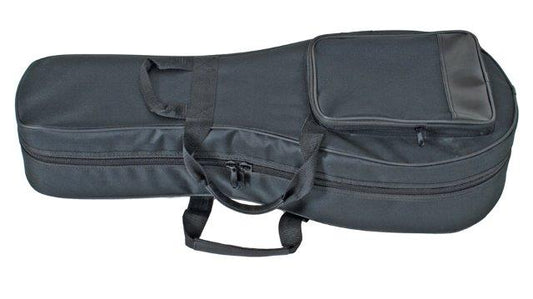 MANDOLIN CASE