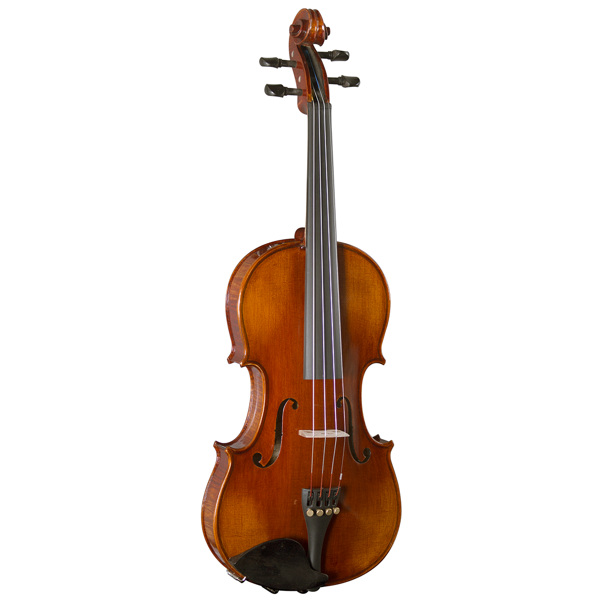 Hidersine Piacenza Violin 4/4 Outfit