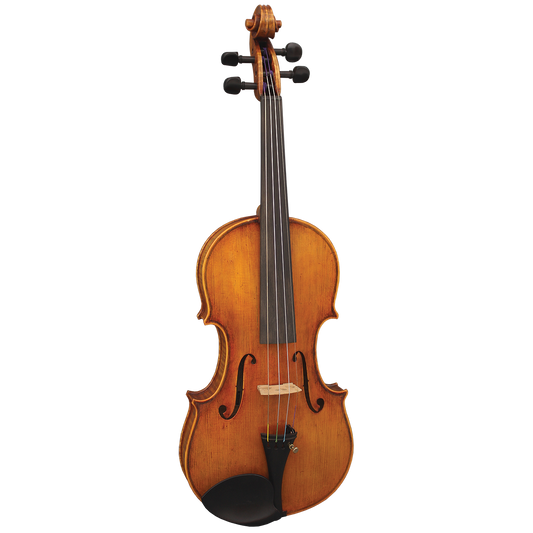 Hidersine Reserve WV400 4/4 Violin  Outfit Inc. Setup.