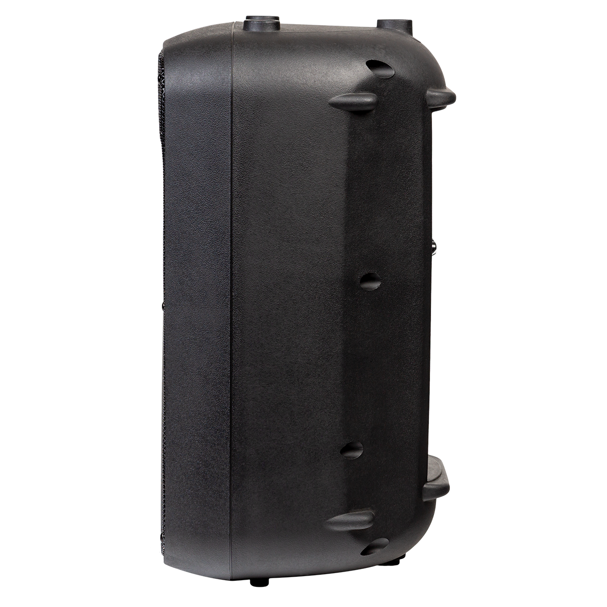 Italian Stage SPX10AUB 10" bi-active two way speaker with Media Player