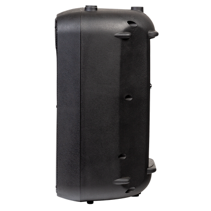 Italian Stage SPX10AUB 10" bi-active two way speaker with Media Player