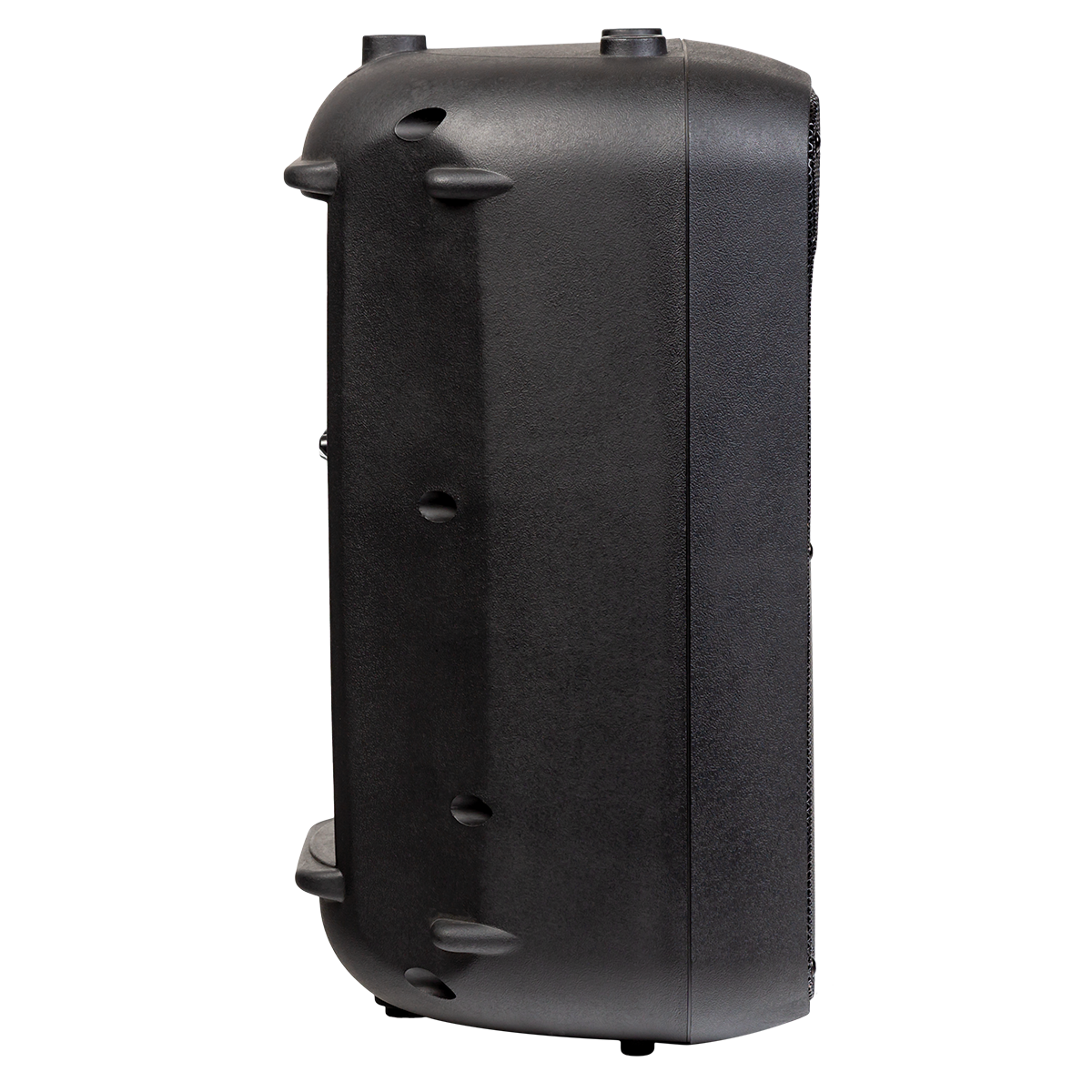 Italian Stage SPX10AUB 10" bi-active two way speaker with Media Player