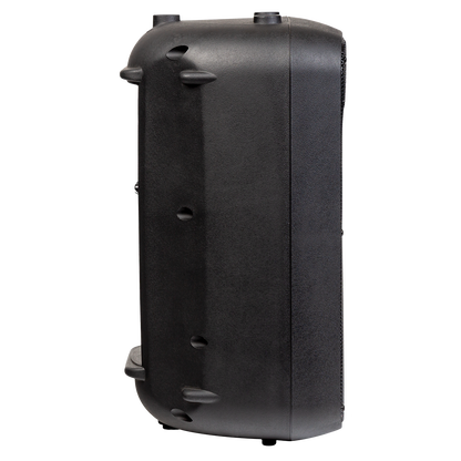 Italian Stage SPX10AUB 10" bi-active two way speaker with Media Player