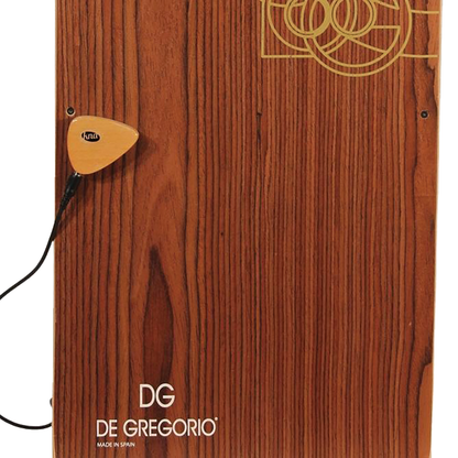 KNA AP-1 Acoustic Instrument Pickup