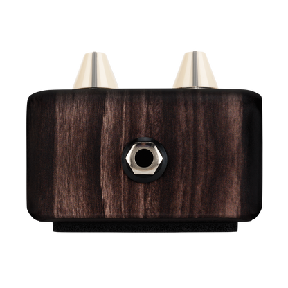 LR Baggs LRBALIGNDELAY Align Delay Pedal