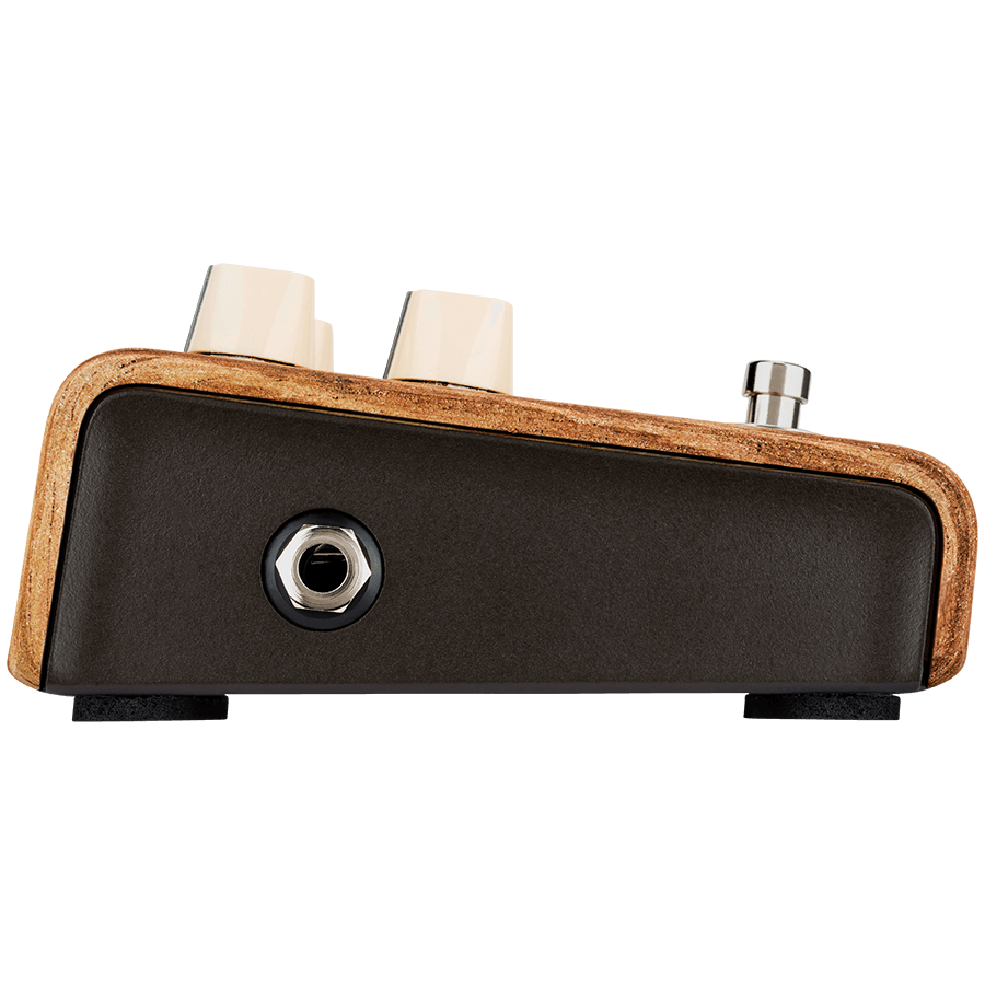 LR Baggs LRBALIGNSESSION Align Session Pedal