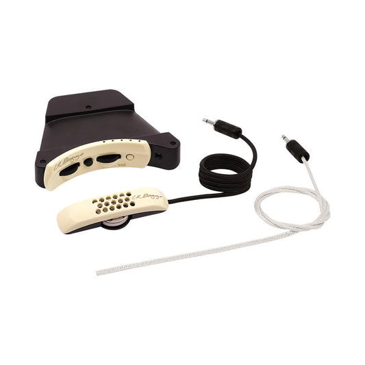 LR Baggs ANTH Anthem Acoustic Guitar Pickup System with Element & Microphone