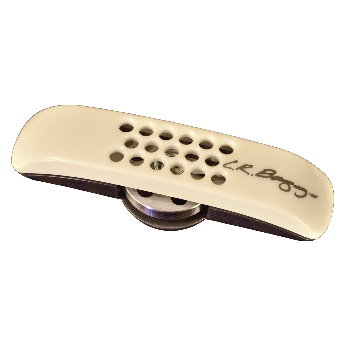 LR Baggs ANTH Anthem Acoustic Guitar Pickup System with Element & Microphone