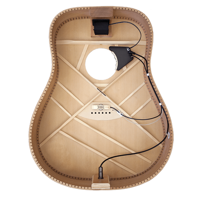 LR Baggs ANTH Anthem Acoustic Guitar Pickup System with Element & Microphone