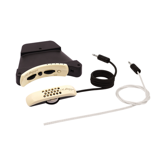 LR Baggs ANTH Anthem Acoustic Guitar Pickup System with Element & Microphone
