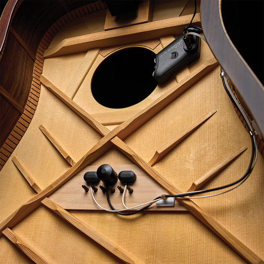 LR Baggs High-Fidelity Pickup + Microphone Mixing System  [LRBHIFIDUET]