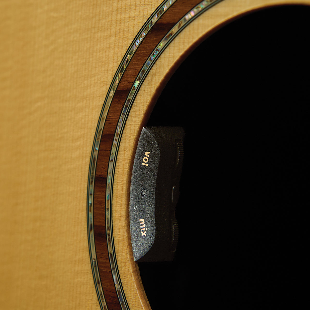 LR Baggs High-Fidelity Pickup + Microphone Mixing System  [LRBHIFIDUET]