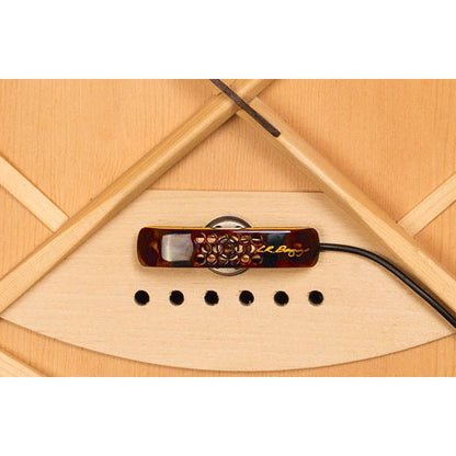 LR Baggs LYRIC Microphone Guitar System