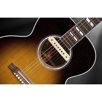 LR Baggs M1 Soundhole Body-Sensitive Magnetic Pickup