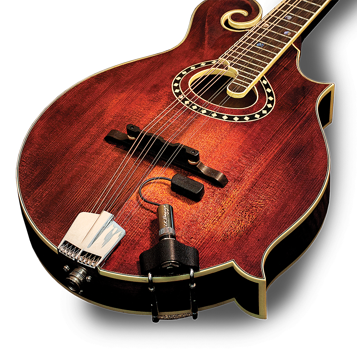 LR Baggs RADM Radius Mandolin Pickup w/ JACK
