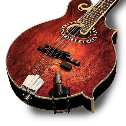 LR Baggs RADM Radius Mandolin Pickup w/ JACK