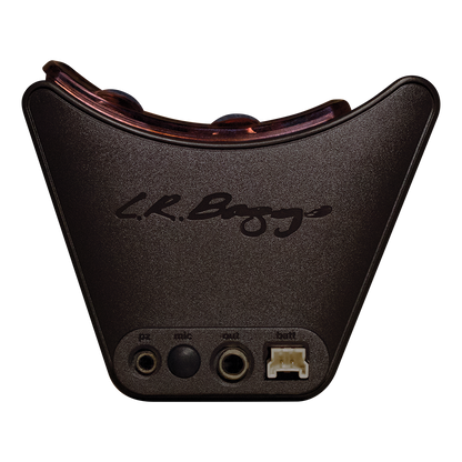 LR Baggs SESSION-VTC Acoustic Guitar Pickup