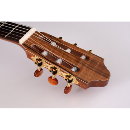 Kremona Rondo RS All Solid Spruce / Walnut Classic Guitar with Case